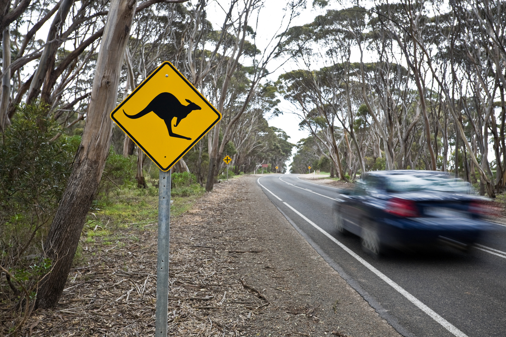 オーストラリアワーホリで運転免許を取得する方法とオススメルート！