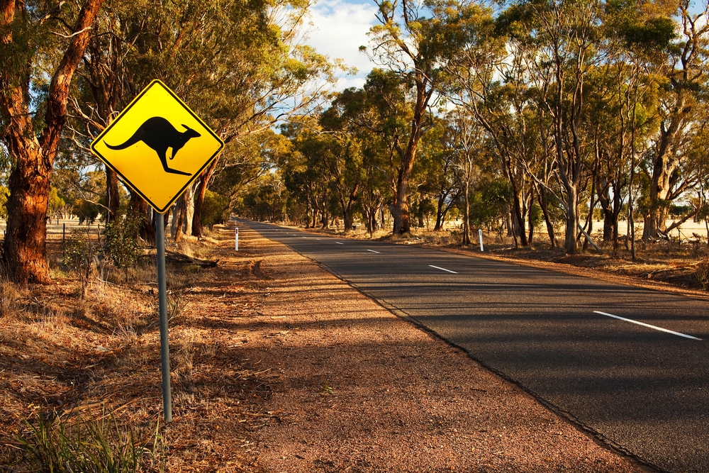 オーストラリアでの運転は難しい？道路事情とオススメルートをチェックしておこう