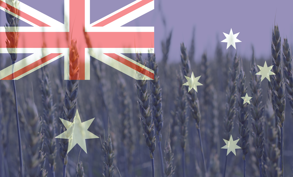 そうだ、オーストラリアへ農業留学しに行こう【大地から学ぶファーム語録】