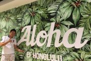 【取材】ハワイ留学、総合力NO1！EFホノルル校に行ってきた！
