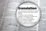 ニュージーランド留学で翻訳を学ぶ方法【現地事情、学校紹介あり】