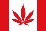 カナダのマリファナ（大麻）合法化についてと今後