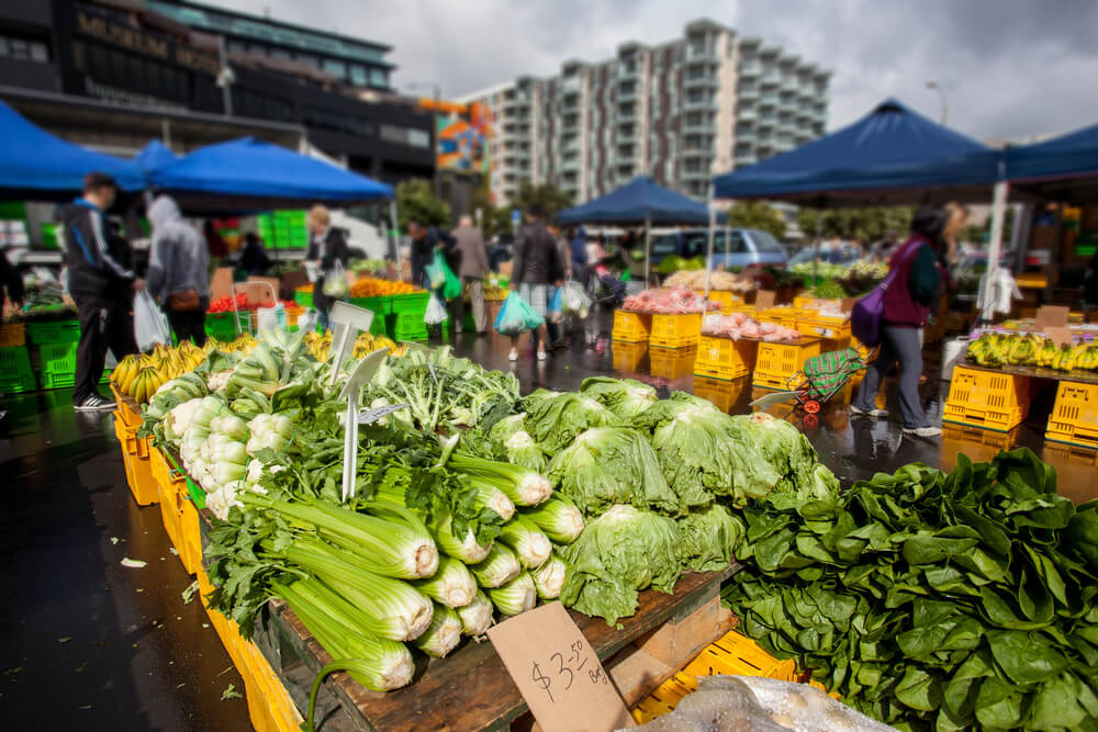 【体験談 in ウェリントン】ローカルで人気のWellington Vegetable Marketに行ってきた