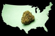 アメリカにはマリファナが合法の地域がある？みんな使っているのか？