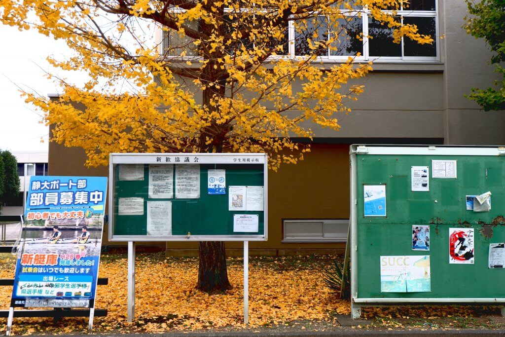 高校留学大学受験有利