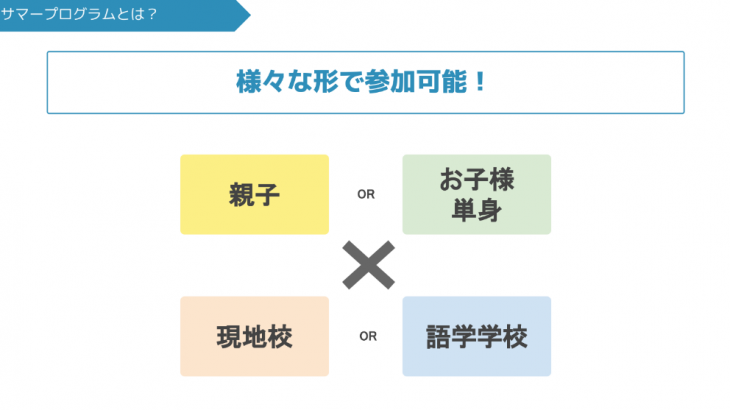 海外サマーキャンプの対象