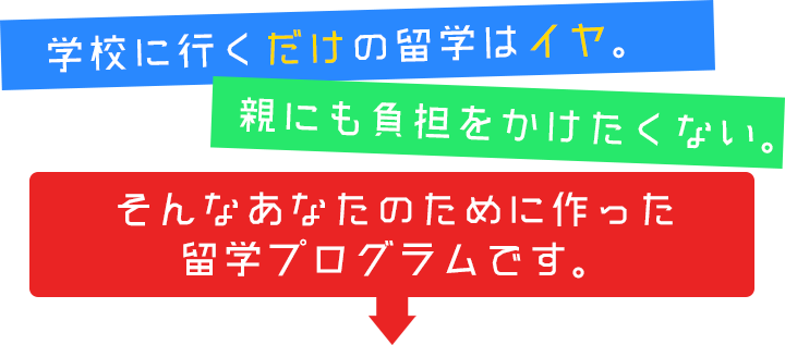 1年間のサンプルスケジュール