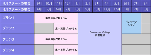 サンプルスケジュール