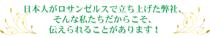 ロサンゼルスで立ち上げた弊社