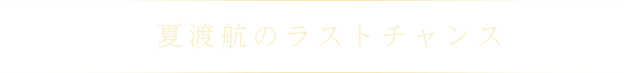 夏渡航のラストチャンス